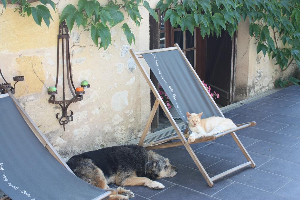 Le Domaine De La Lezardiere B&B Espiet Buitenkant foto
